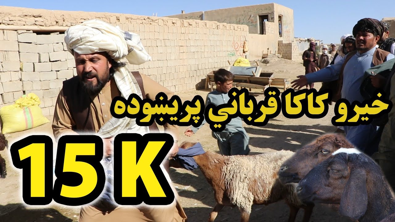 خيرو کاکا ولی قرباني پریښوده 😮