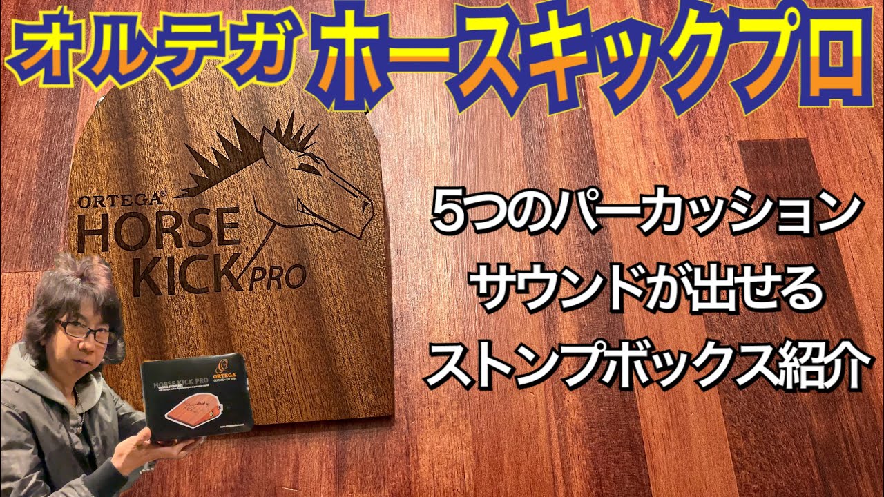 【機材紹介】オルテガ　ホースキックプロ(ORTEGA HORSE KICK PRO)ストンプボックス　アツシDの誕生日プレゼント