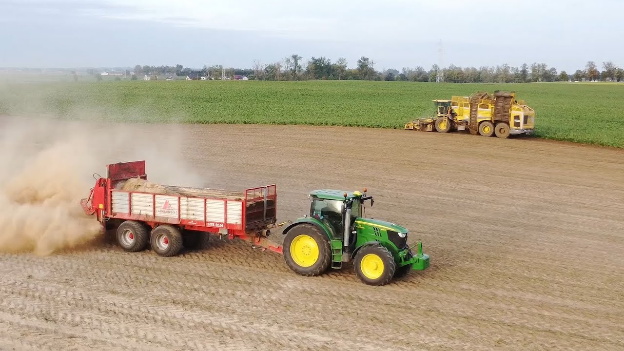 Kampania buraczana & bezorkowy siew pszenicy | AGROFarm TV