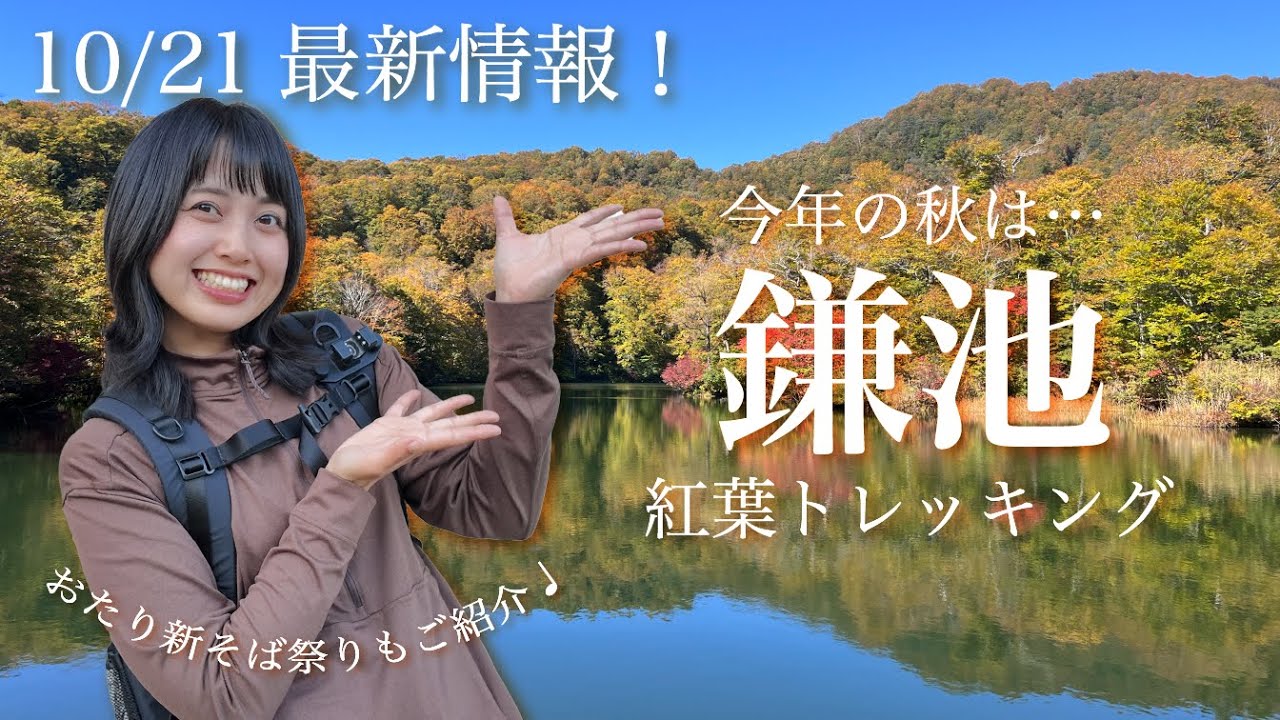 【10/21最新レポ🍁】いよいよ秋本番、紅葉の鎌池へ！ブナの原生林で癒される紅葉トレッキングと新そば祭りで味わう小谷村
