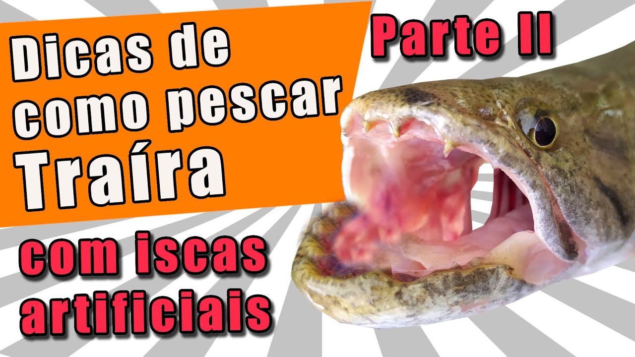 (DICAS DE PESCARIA) COMO PESCAR TRA&Iacute;RAS COM ISCAS ARTIFICIAIS. PESCARIA PARA INICIANTES. Parte II.
