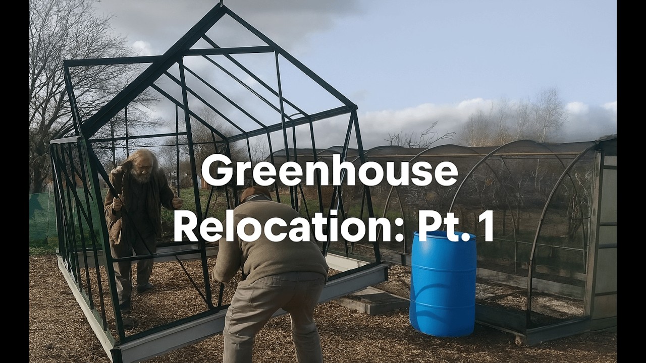 Area 51: Relocating Greenhouse #7 (with Shadow’s help!) Part 1