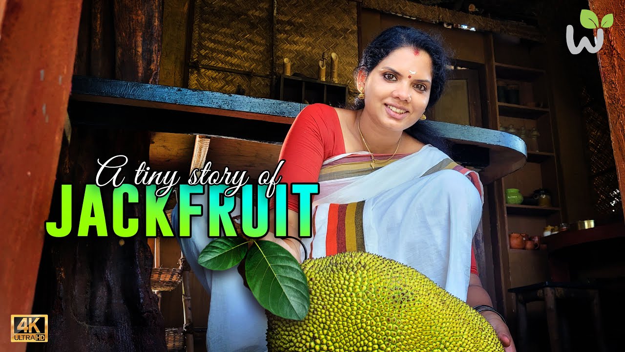 A tiny story of Jackfruit | Tender Jackfruit Recipes | ചക്ക കറി | കൊഴുപ്പ തോരൻ | Kerala Veg. Recipes