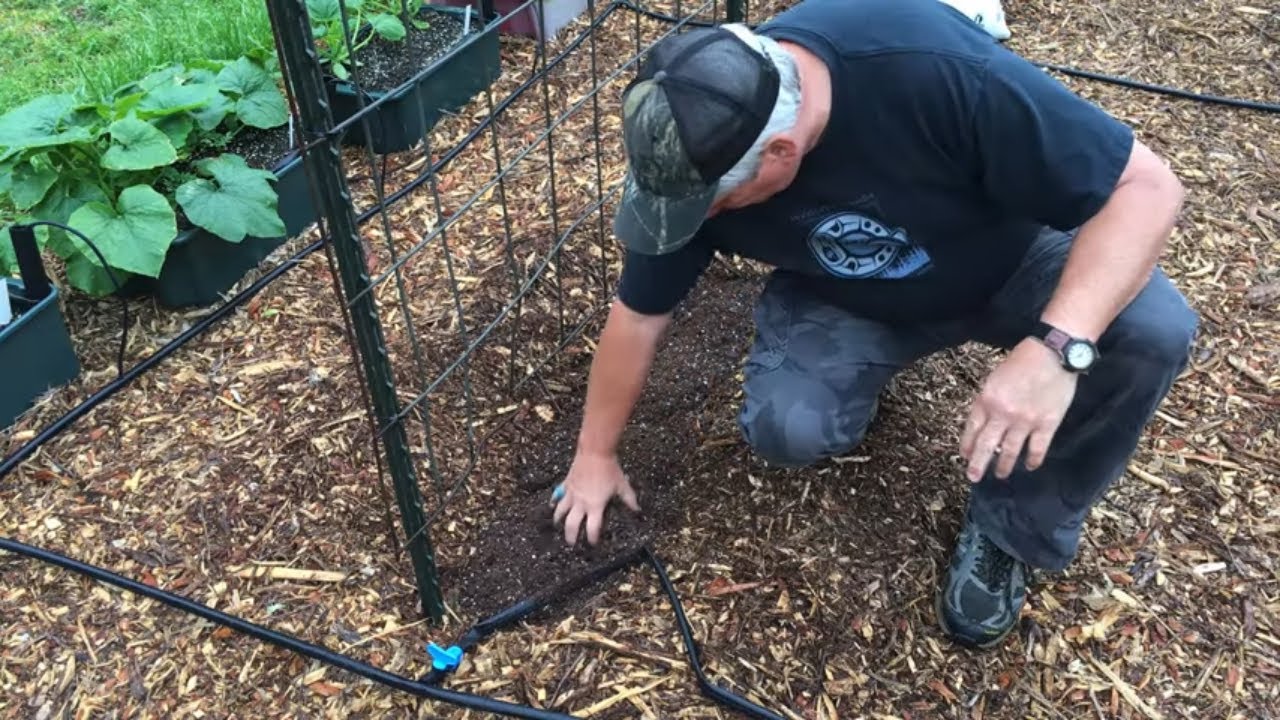 🍅BACK TO EDEN GARDENING 🌱 HOW TO PLANT IN DEEP MULCH&nbsp;🌽&nbsp;Deep Mulch Gardening🌶️ GROW MORE FOOD!&nbsp;🍉