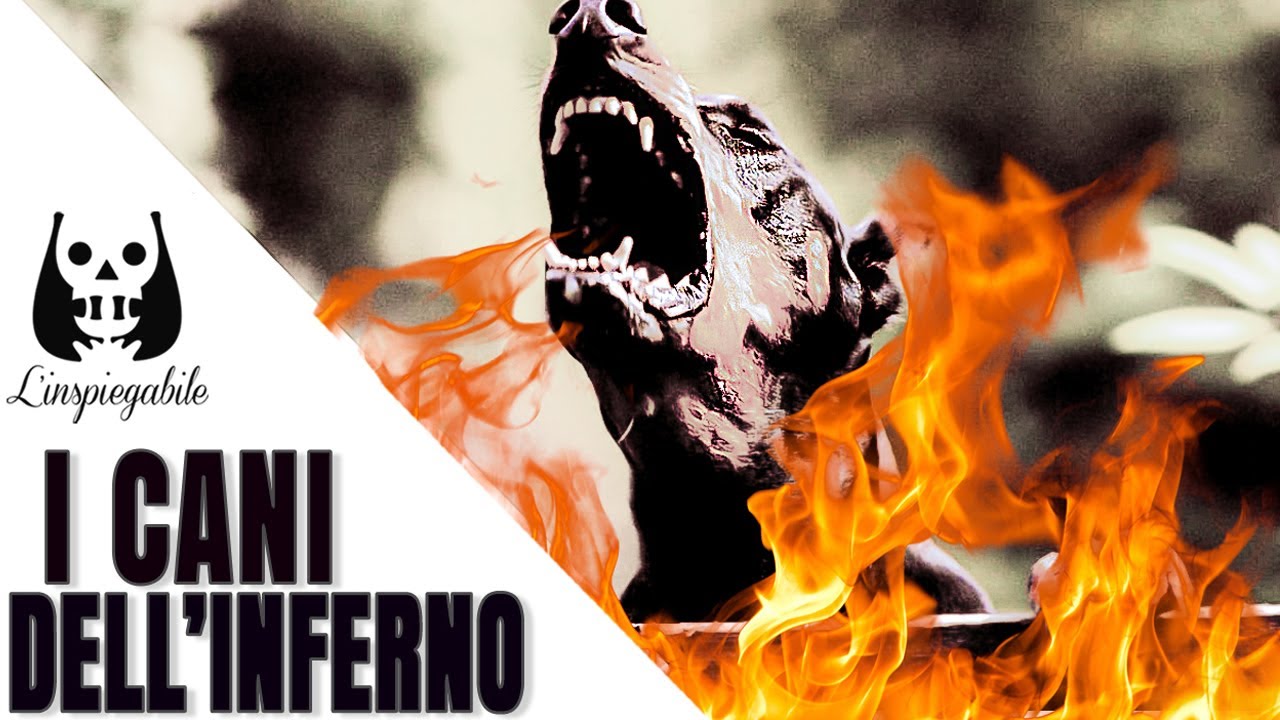 I CANI dell’INFERNO: 6 OSCURE LEGGENDE dall’ALDILÀ