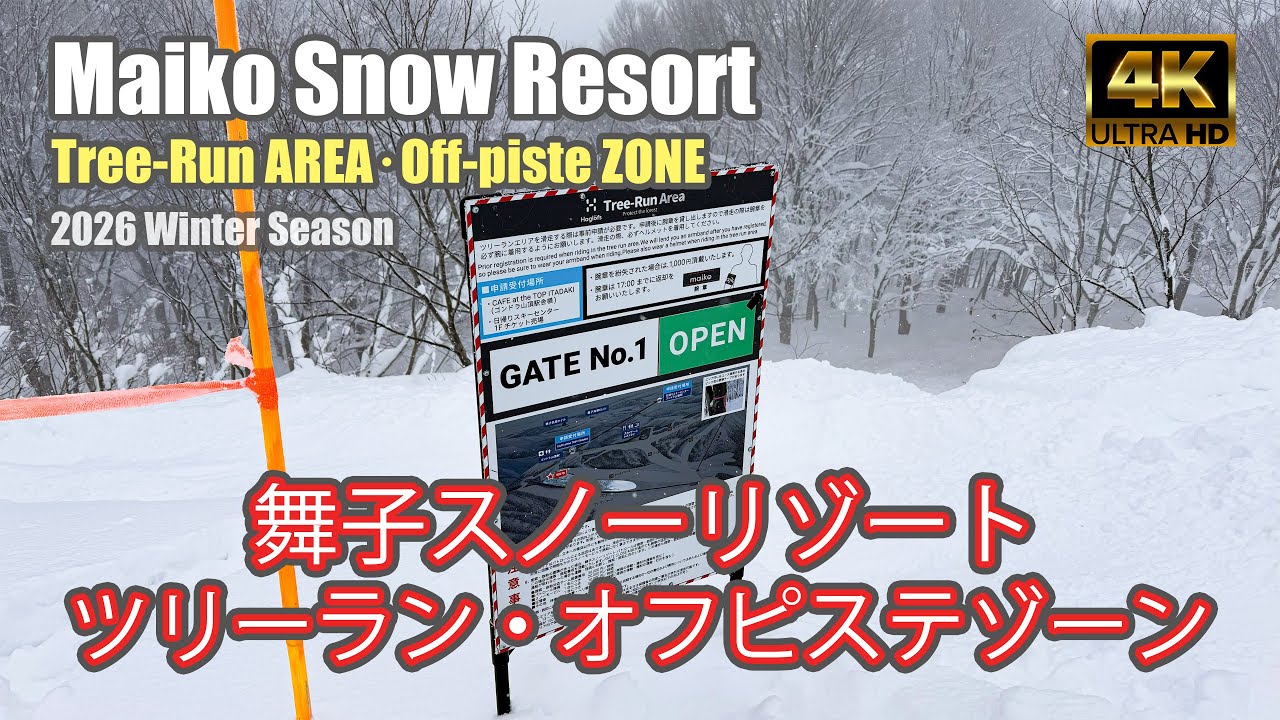 【4K SKI JAPOW】舞子スノーリゾート2026：ツリーラン・オフピステゾーン｜コース紹介（Maiko Snow Resort）-2026/2/3