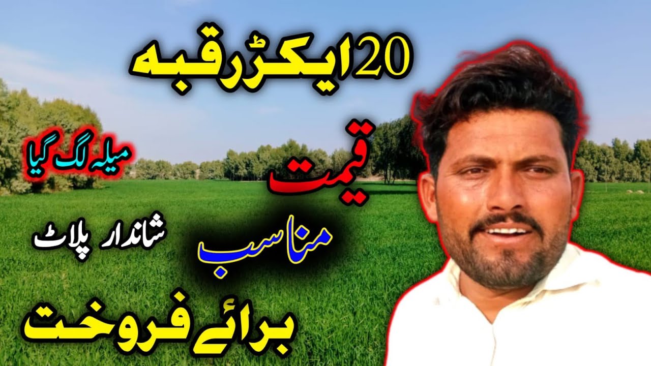 20 Acres Agriculture Land for Sale in Punjab Pakistan | Affordable Farming Land ||zameen for sale