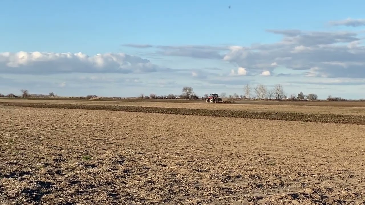 Field Work 2022