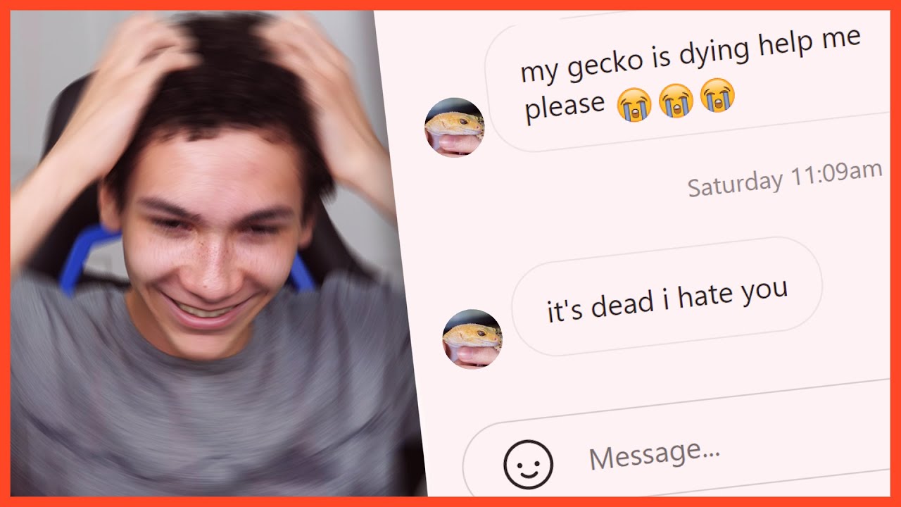 The most infuriating Instagram DMs from reptile keepers