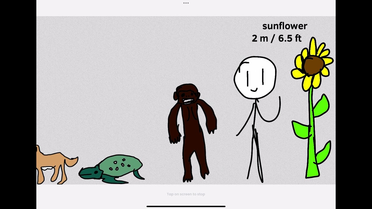Universe size comparison 