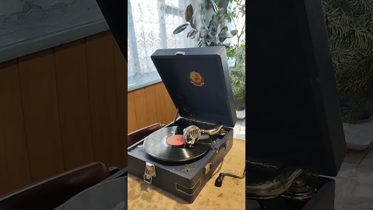 Виноградов.