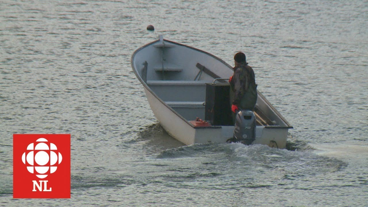 Moving on: Feeling left out of William's Harbour decision