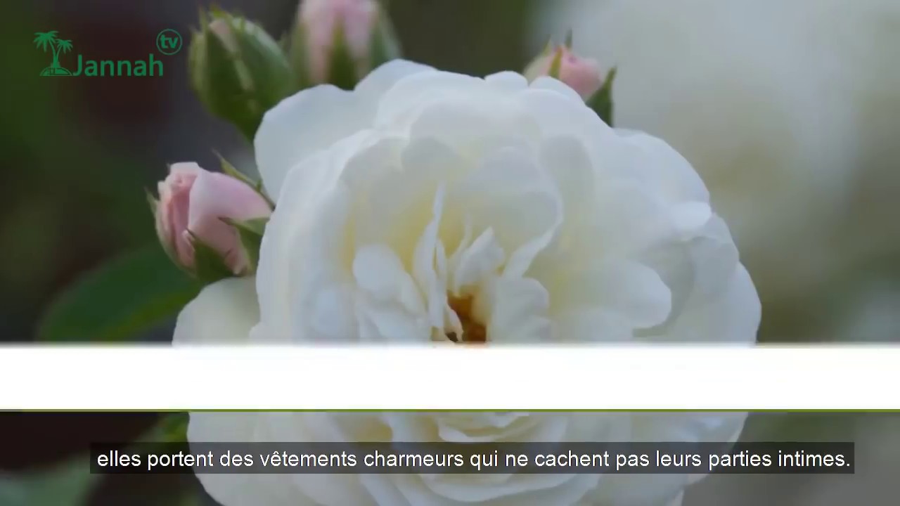 CONSEILS IMPORTANT POUR LA FEMME