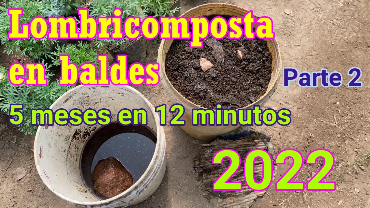 Como Iniciar una Lombricompostera en Baldes. Parte 2 Año 2022 (5) #lombrices