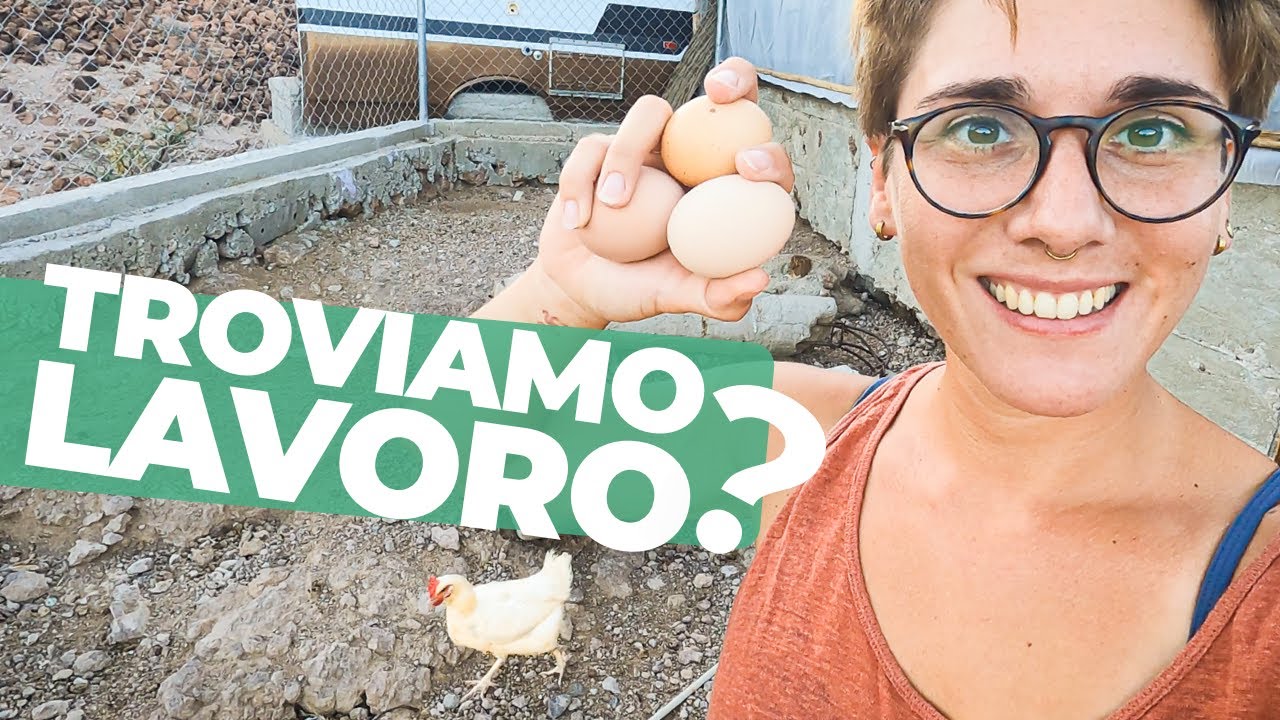 🤑 2 settimane GRATIS, Tutto Incluso! 💪 WORKAWAY in Messico - 🐼 🇲🇽 [EPISODIO 27]