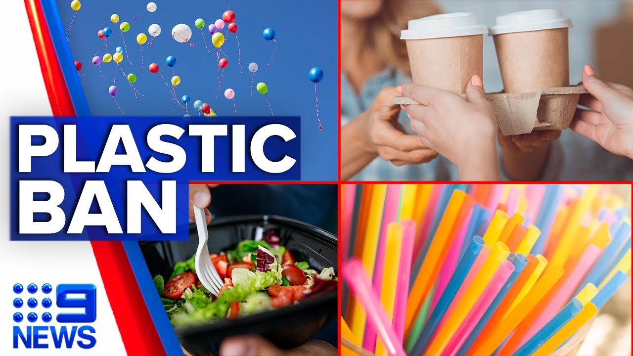 Queensland bans more single-use plastics, signals end to disposable coffee cups | 9 News Australia