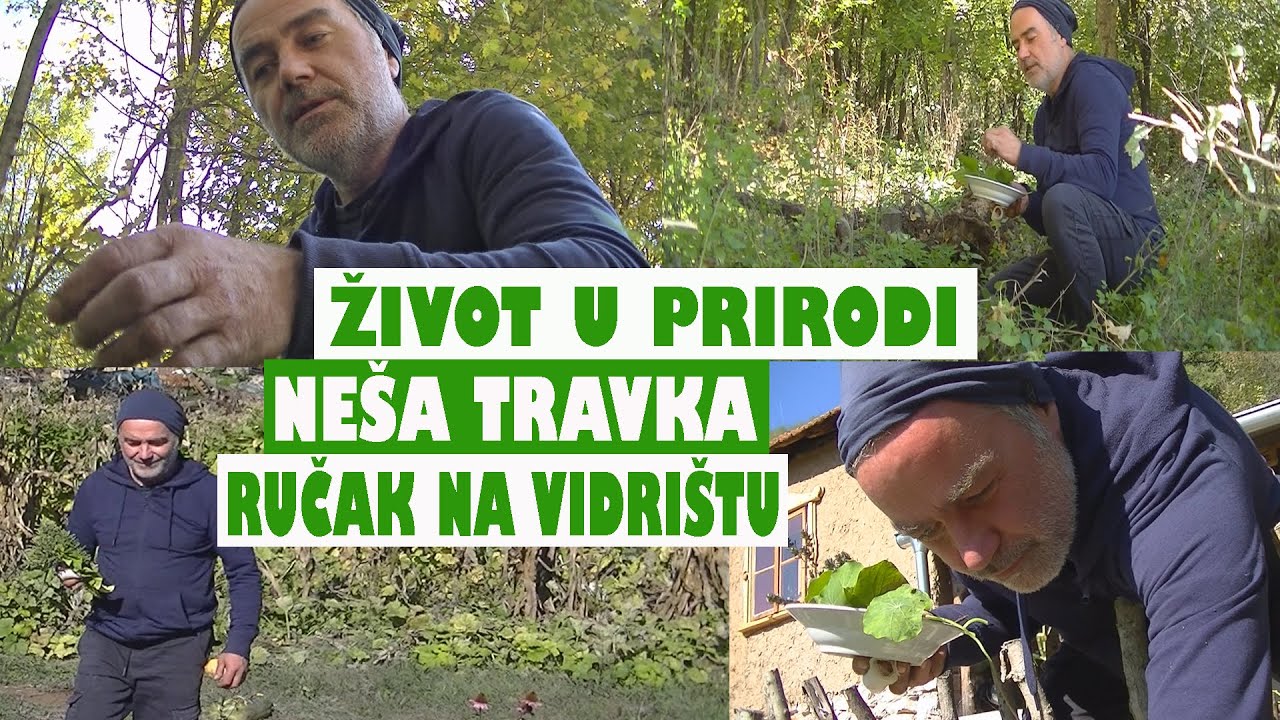 ŽIVOT U PRIRODI -  NEŠA TRAVKA I RUČAK NA VIDRIŠTU (PRVA PRIČA)