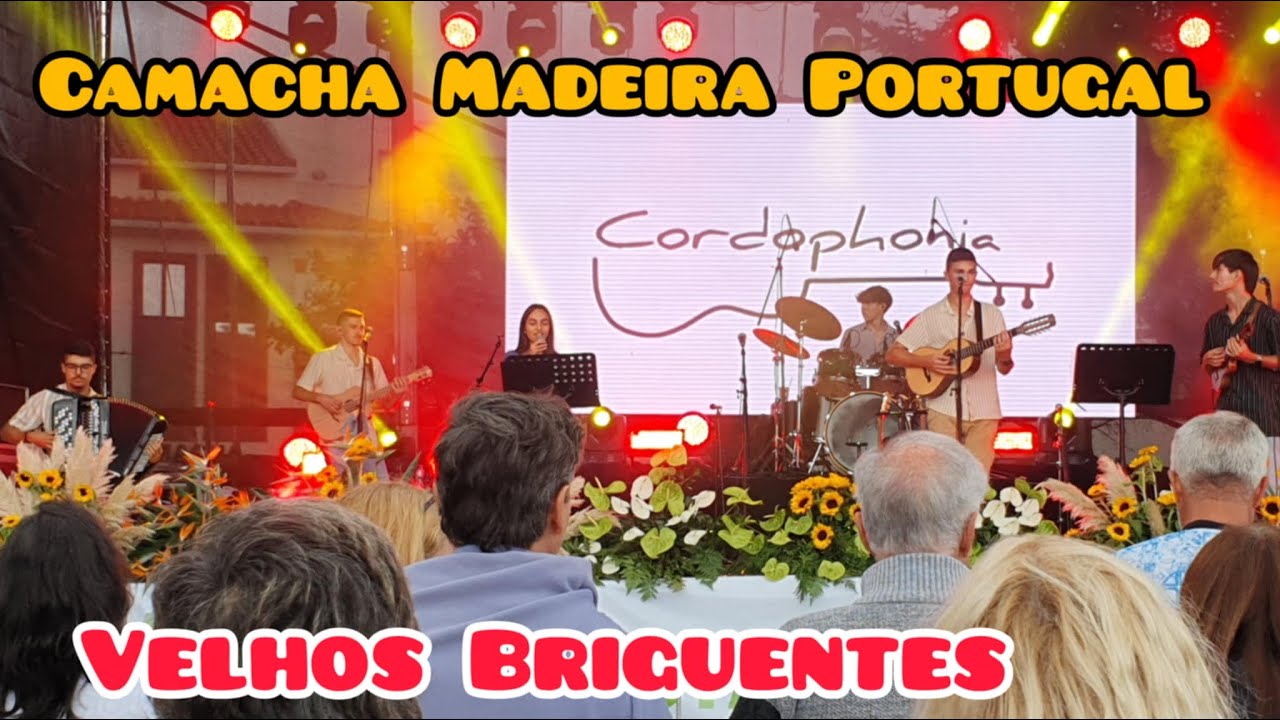 Velhos Briguentos - Bailinho