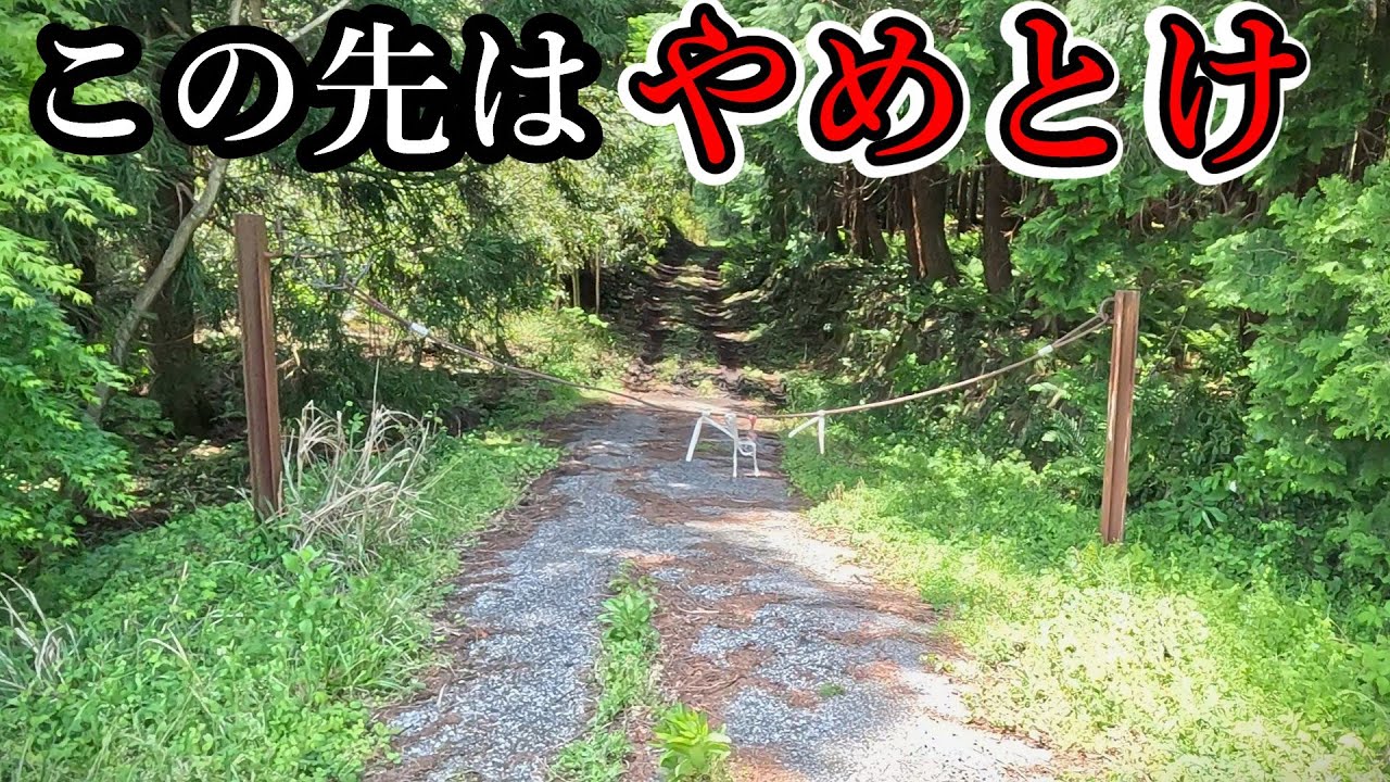 これが県道だなんて誰が気づくんだよ…  [滋賀県道531号 藤川春照線]