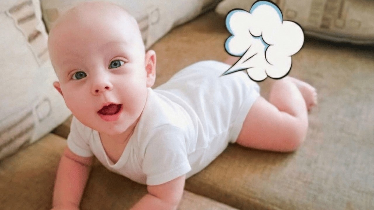 Funny Baby Videos😂 Most Hilarious Adorable Baby Moments Found On Internet😂Try Not To Laugh Challenge