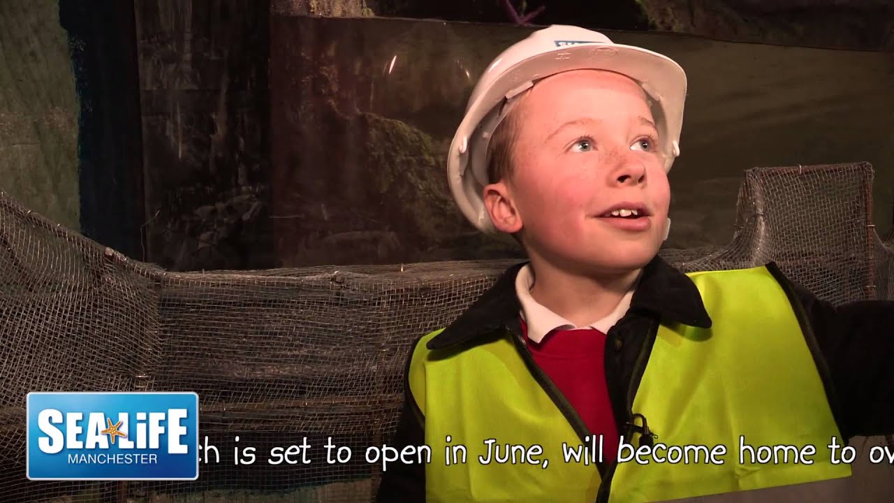 SEA LIFE Manchester fill the ocean tank for the first time