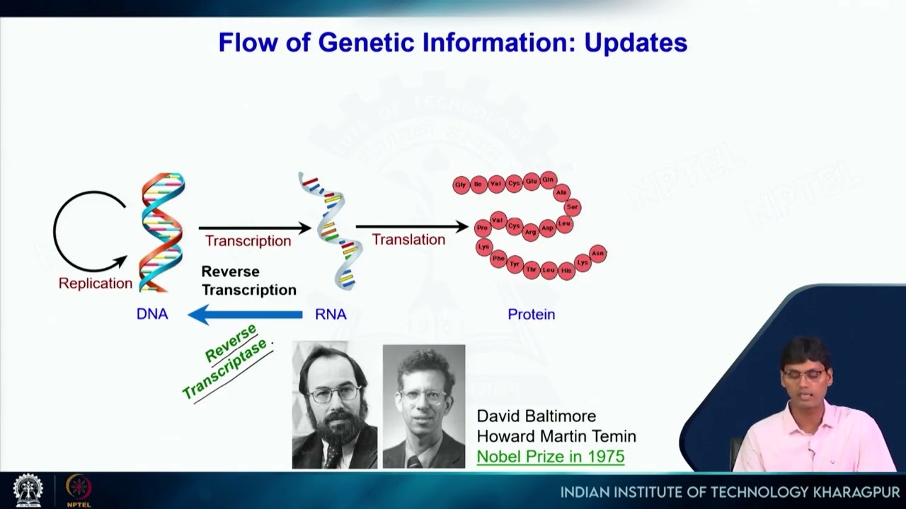 Lecture 6: Gene expression and The Central Dogma of Molecular Biology #swayamprabha