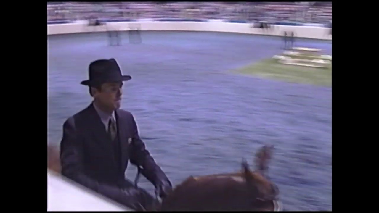 EC Champain at National Show Horse Finals 2004 Classes 76 and 114