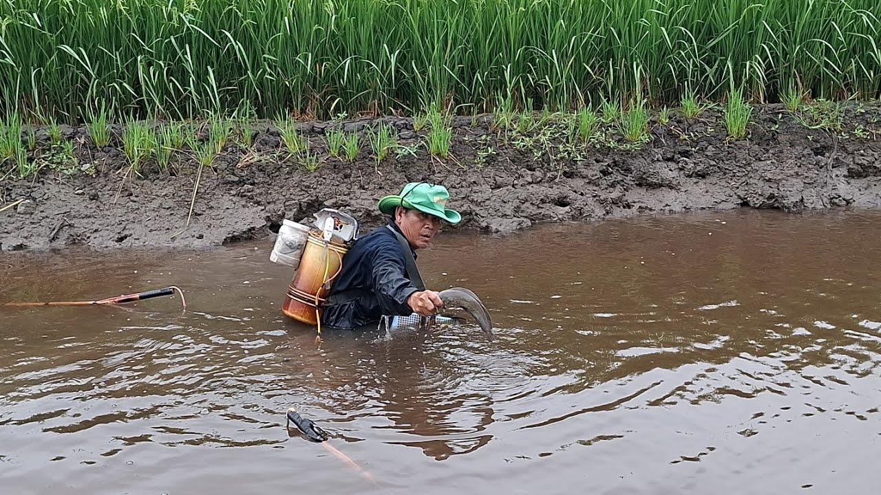 Vô mánh nữa rồi anh em ơi, nay trích dính ổ cá trê rồi anh em, hôm nay chú sáu đi tét cây 14f nha 