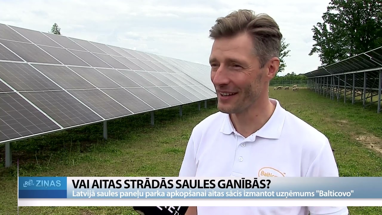 ReTV: Vai aitas strādās saules ganībās?