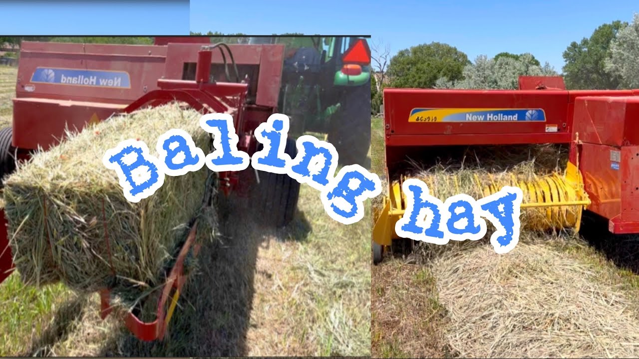 BUHAY AMERICA: Baling Hay | A life of a farmers | 🇺🇸🇵🇭