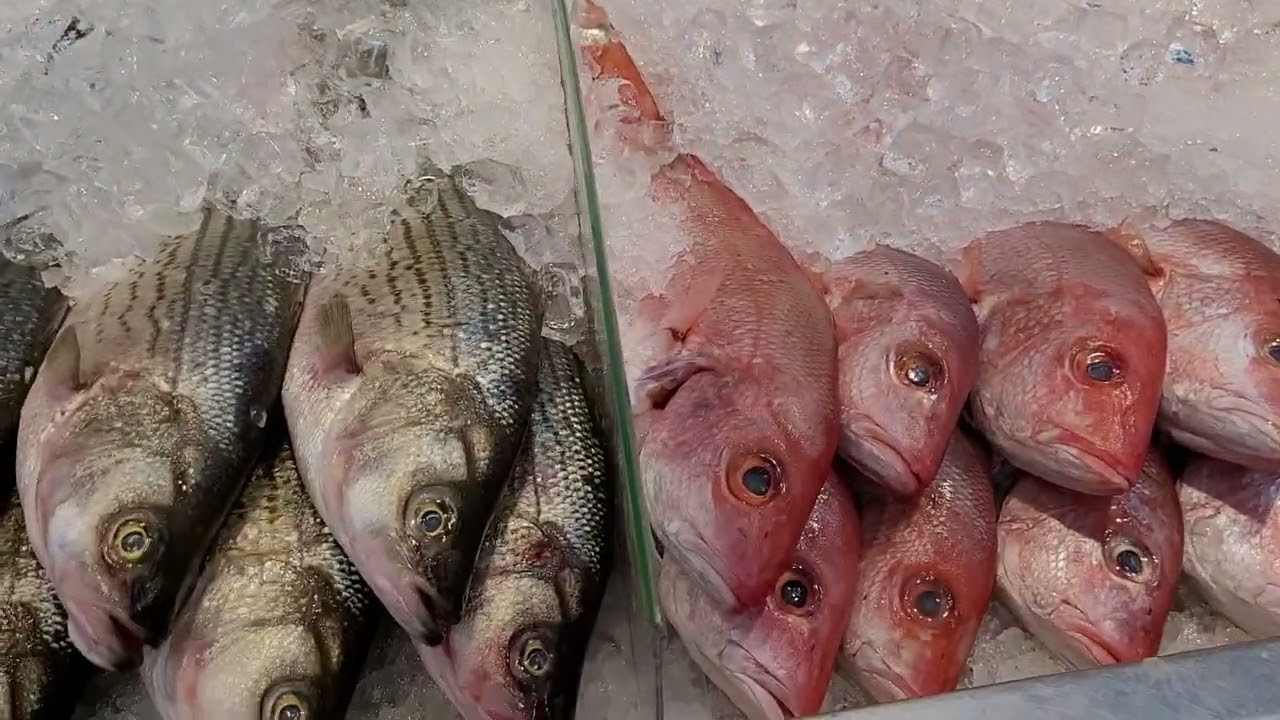 Fish World on Liberty Ave