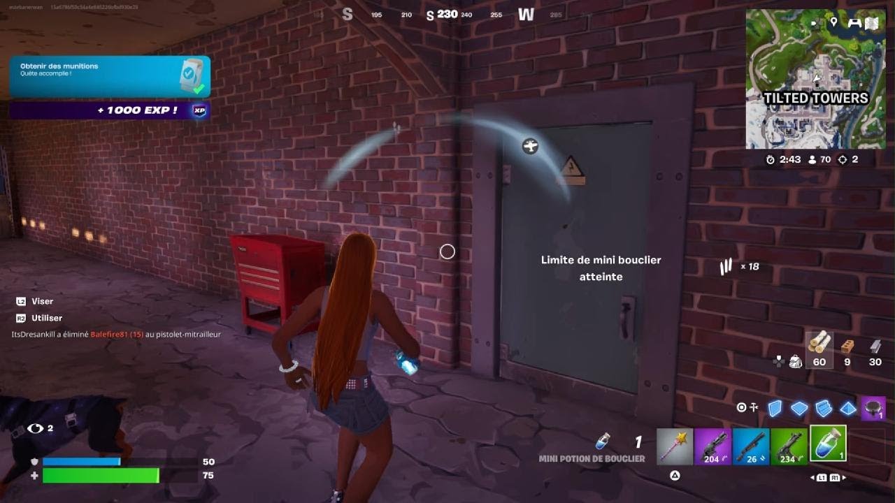 Fortnite_top 2