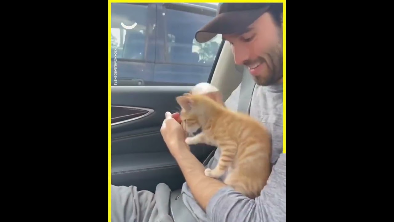 We found A Blind Kitten In Our Yard