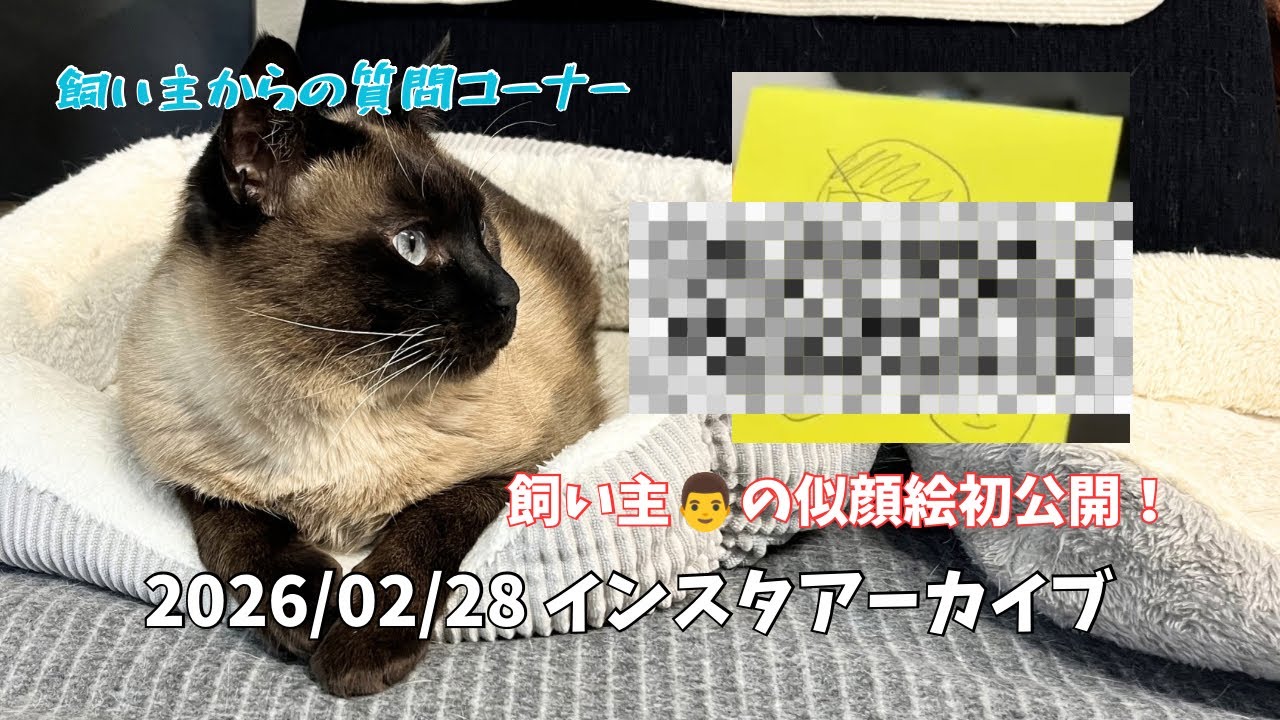 【飼い主からの質問コーナー♪】インスタライブアーカイブ