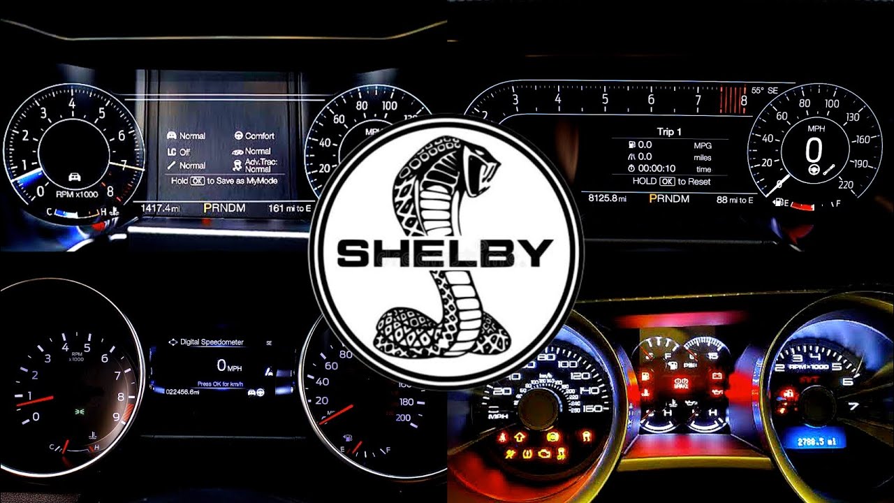 Ford Mustang Shelby Acceleration Battle