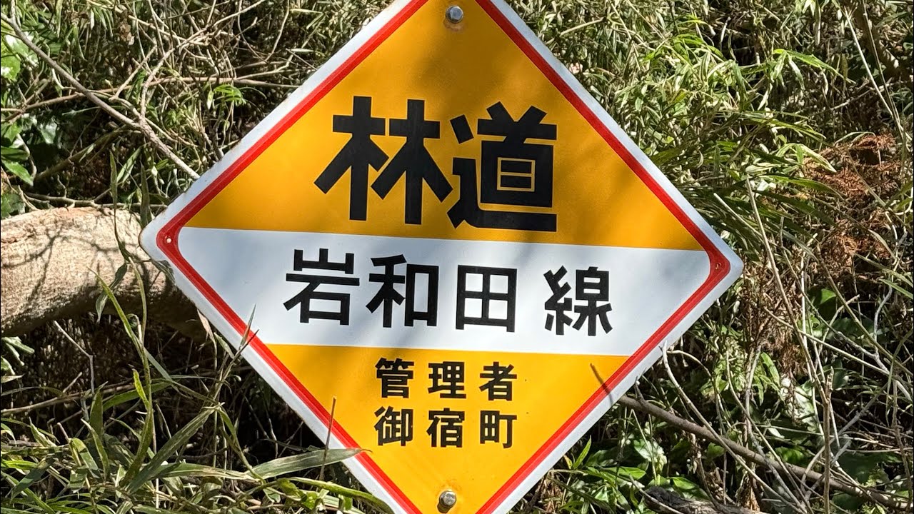 千葉林道巡り　林道岩和田線　(ダート)
