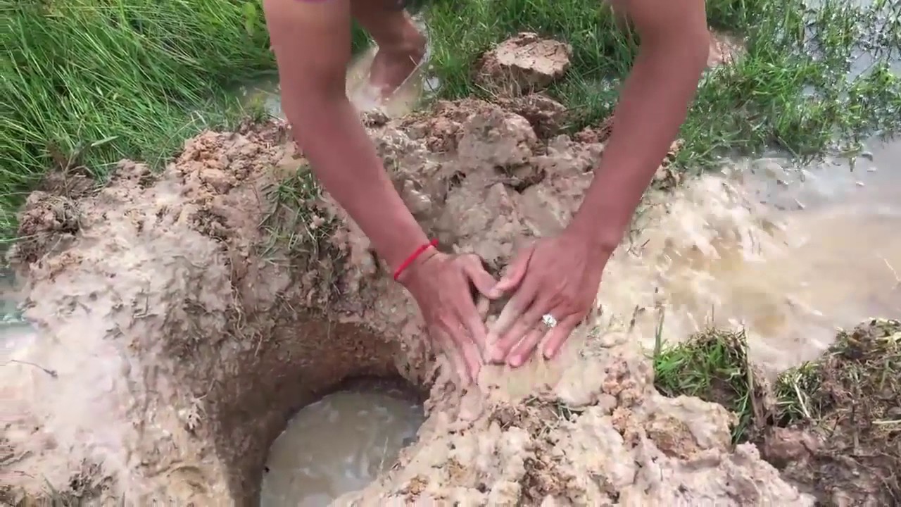 cambodia all net fishing ▶net fishing khmer - cambodia traditional fishing #124