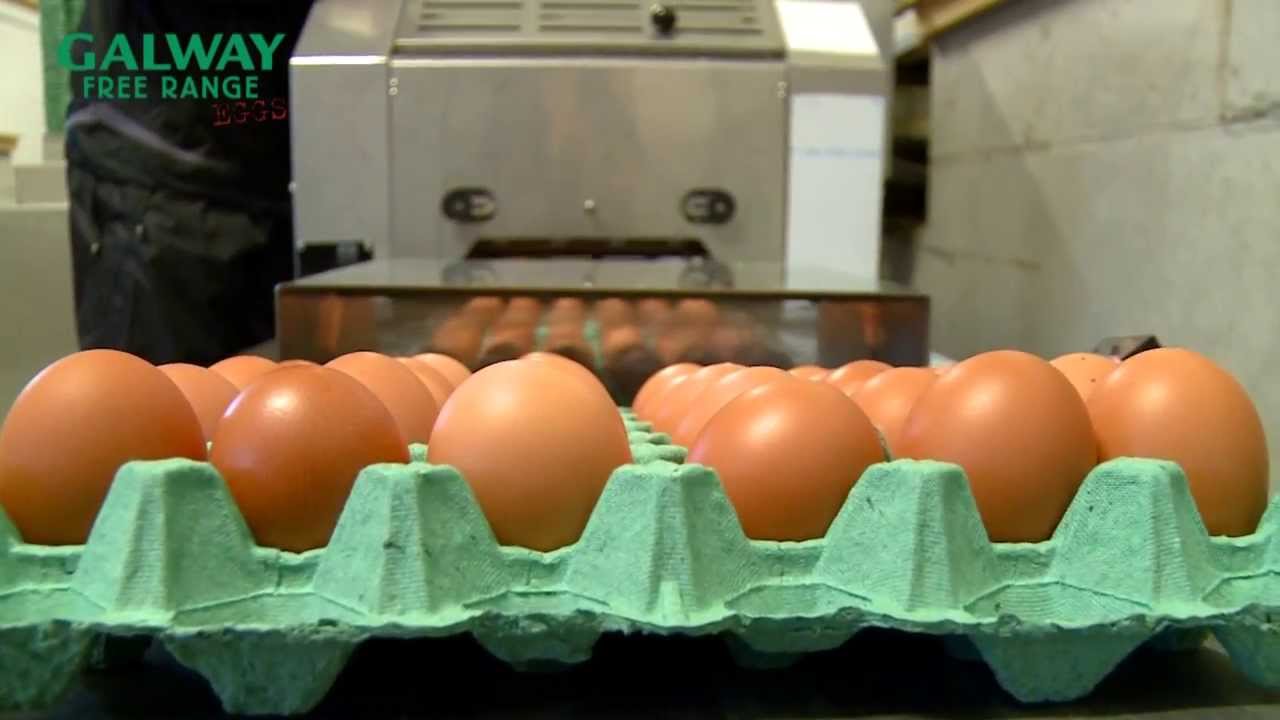 Ronan McGrath: Galway Free Range Eggs