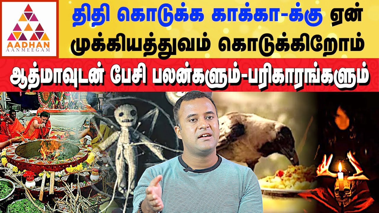 ஜோதிடர்களும் ஆத்மாவுடன் தொடர்பு கொள்கிறார்கள் | #blackmagic #ghost | DNA Astrologer Vishal