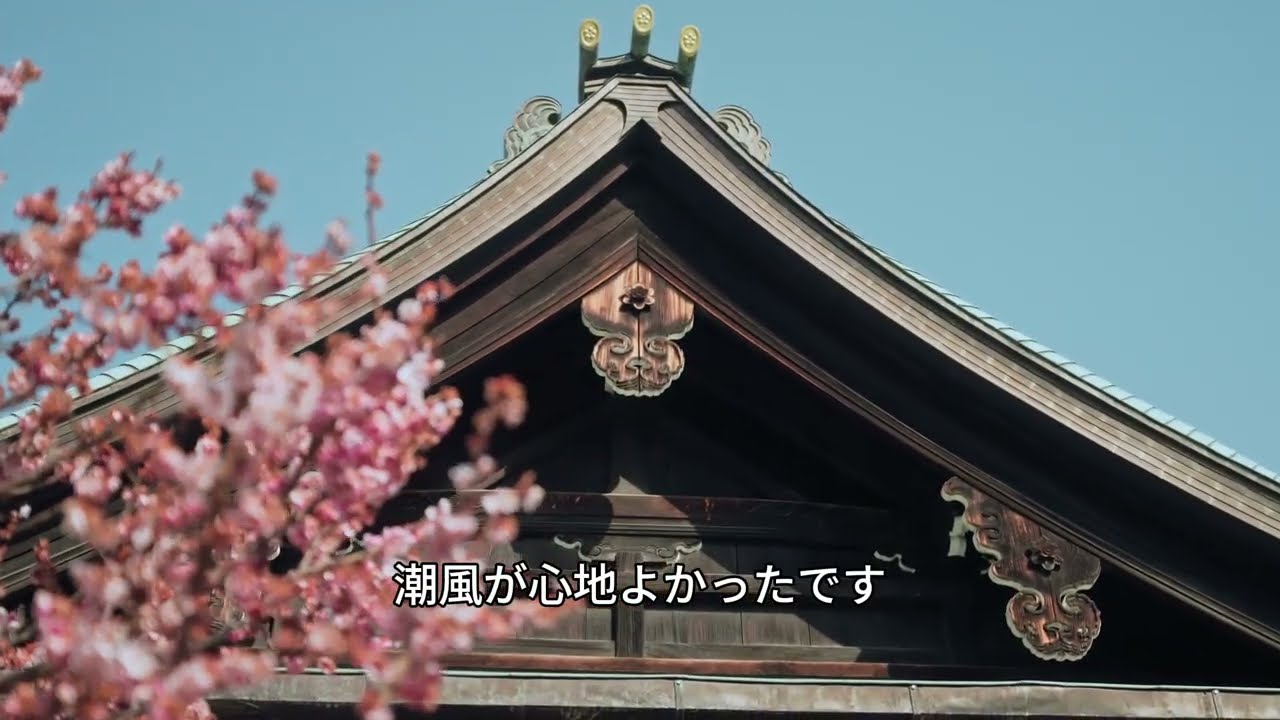 【シニア恋愛】「ただ釣りに行っただけなのに…人生最大の再会が待っていた。」【官能小説】