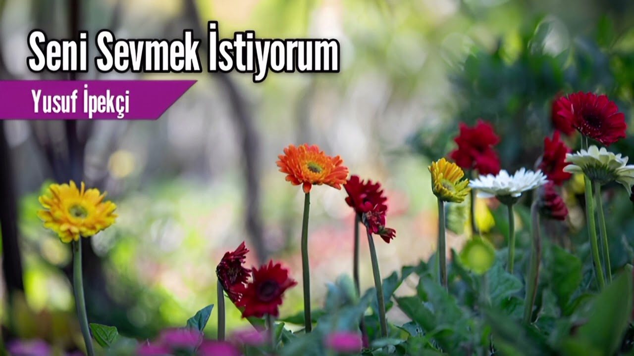 Seni Sevmek İstiyorum -Yusuf İpekçi