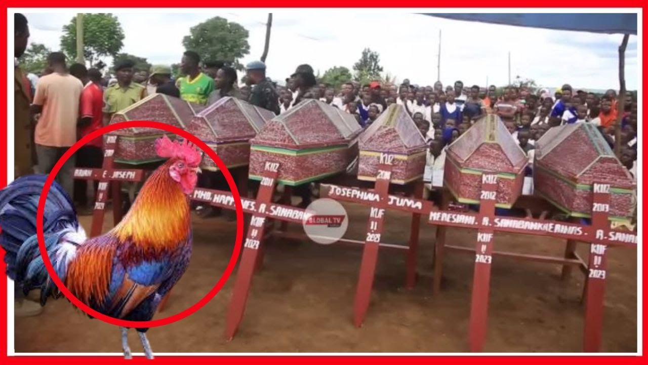 MUNGU WANGU! JIRANI NDIYE ALIYEWAUA WATOTO 7 KWA SUMU BAADA ya KUIBIWA JOGOO WAKE KAGERA, RPC AELEZA