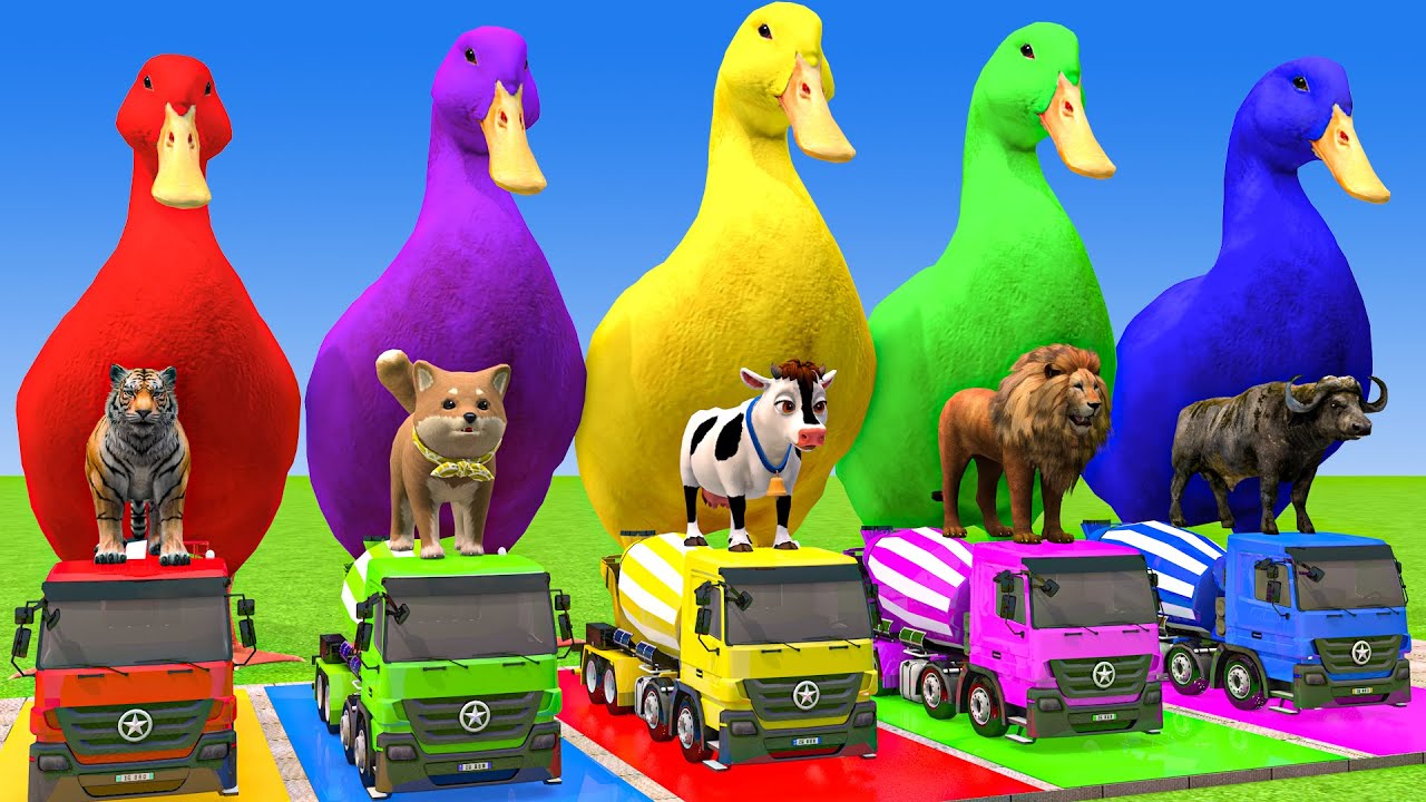 Long Slide Game With Cow Elephant Gorilla Hippopotamus Tiger 3d Animal Game Funny 3d Animals
