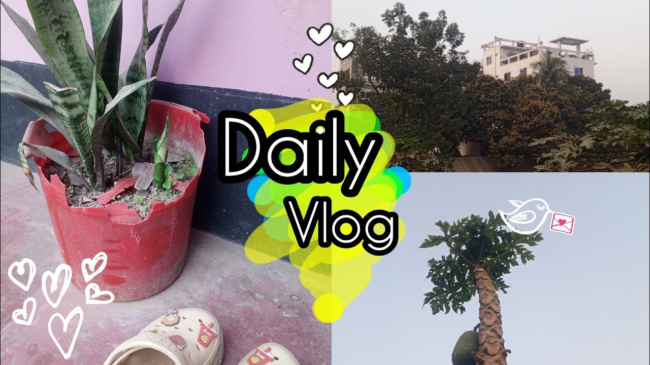 A day in my life 🌱🌿🌴🌵🪴 || Daily vlog 