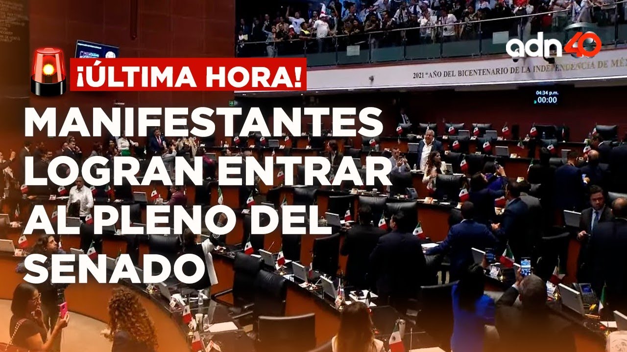 🚨¡Última Hora! Manifestantes logran entrar al Pleno del Senado donde se discute la Reforma Judicial