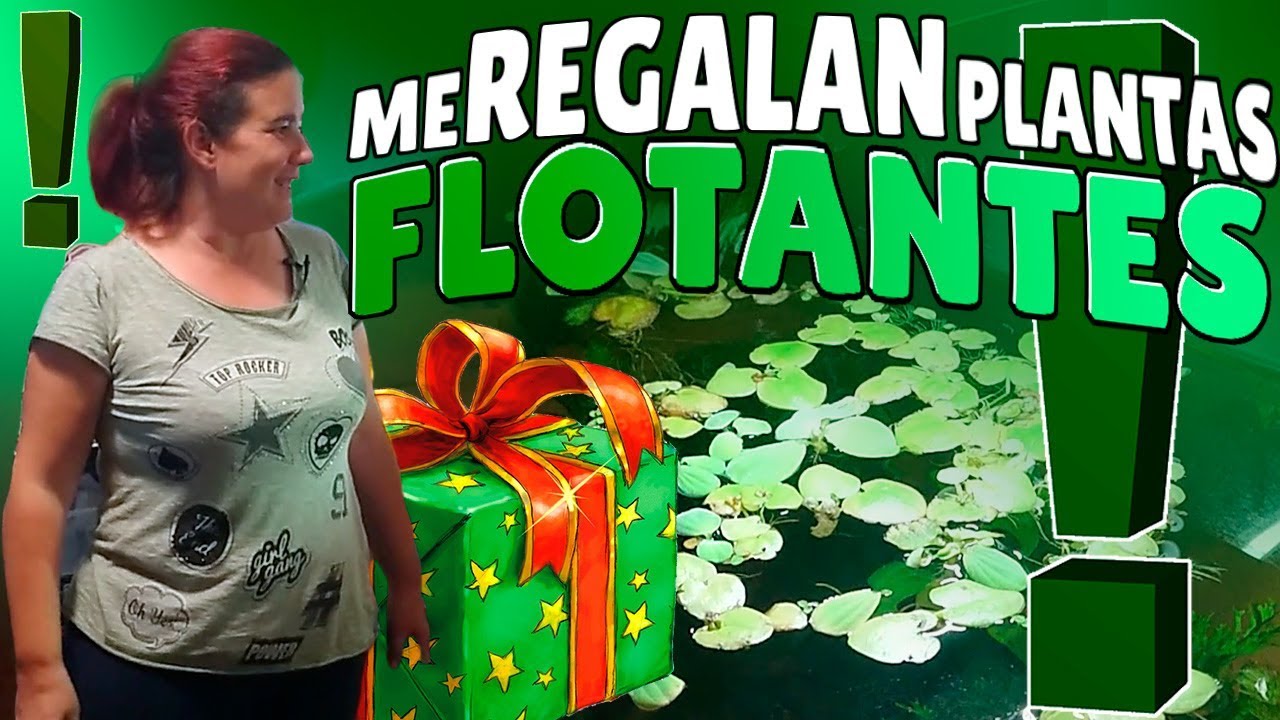 Unboxing Plantas Flotantes🌿ACUARIOS 2018
