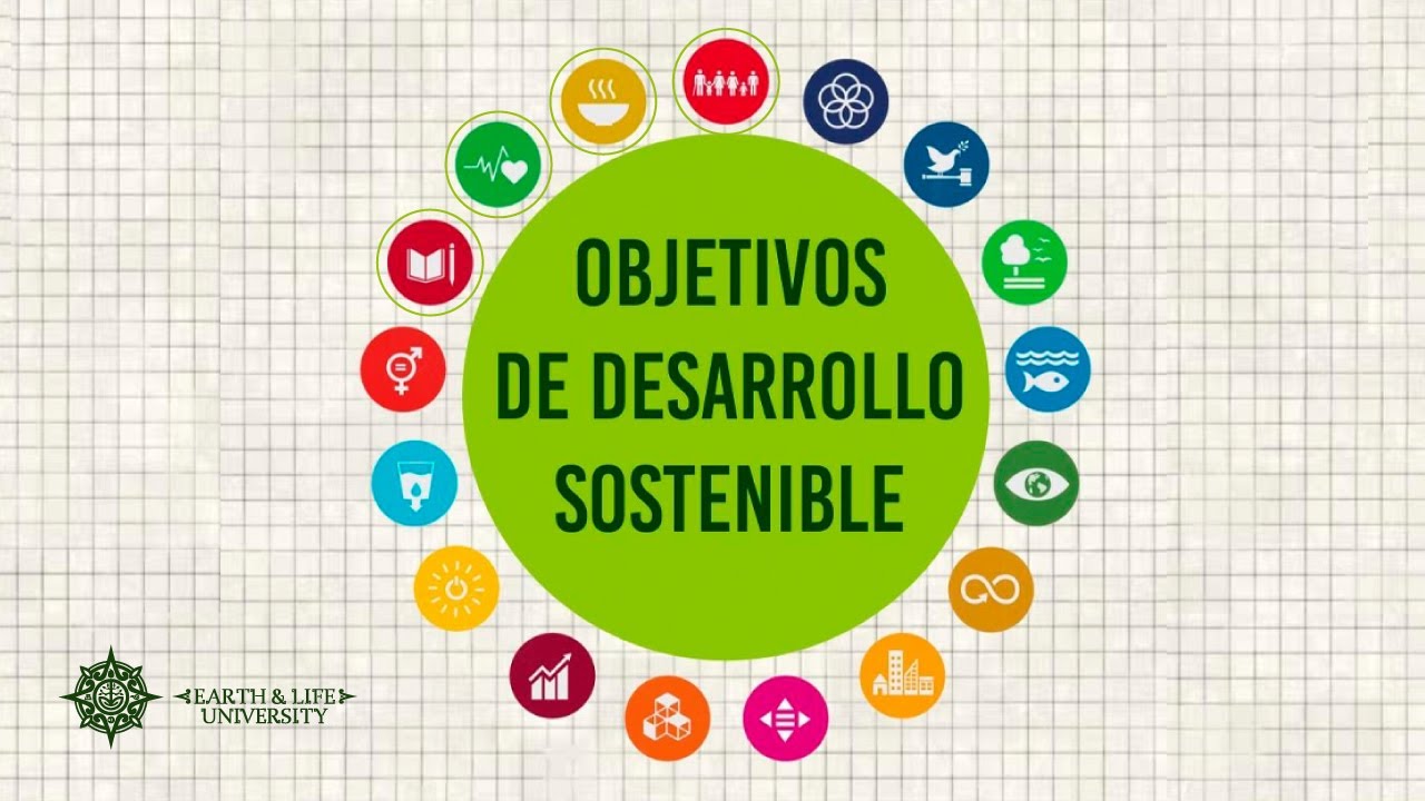 Objetivos e importancia de los ODS 1, 2, 3 y 4