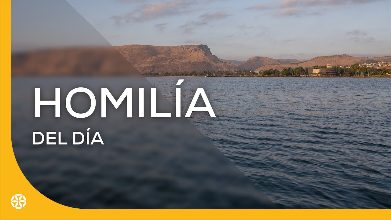 Lunes, 19 de enero | Homilía del día | Magdala, Tierra Santa