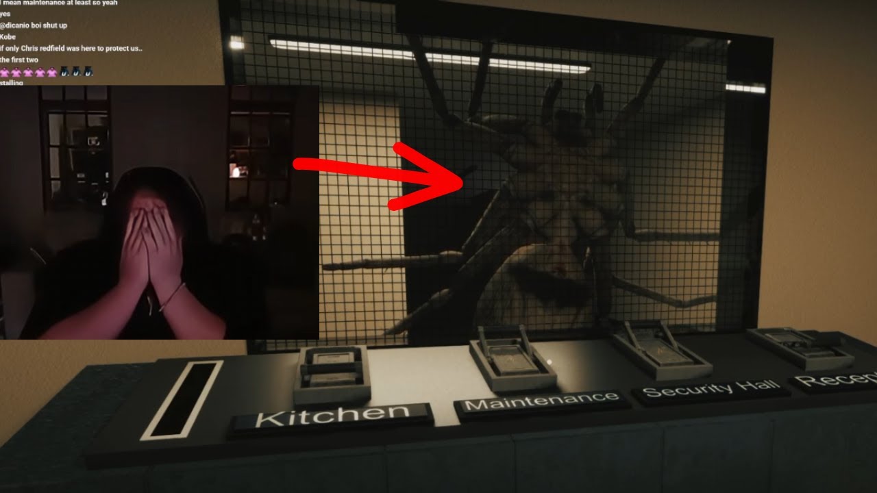 CaseOh Spiders Compilation