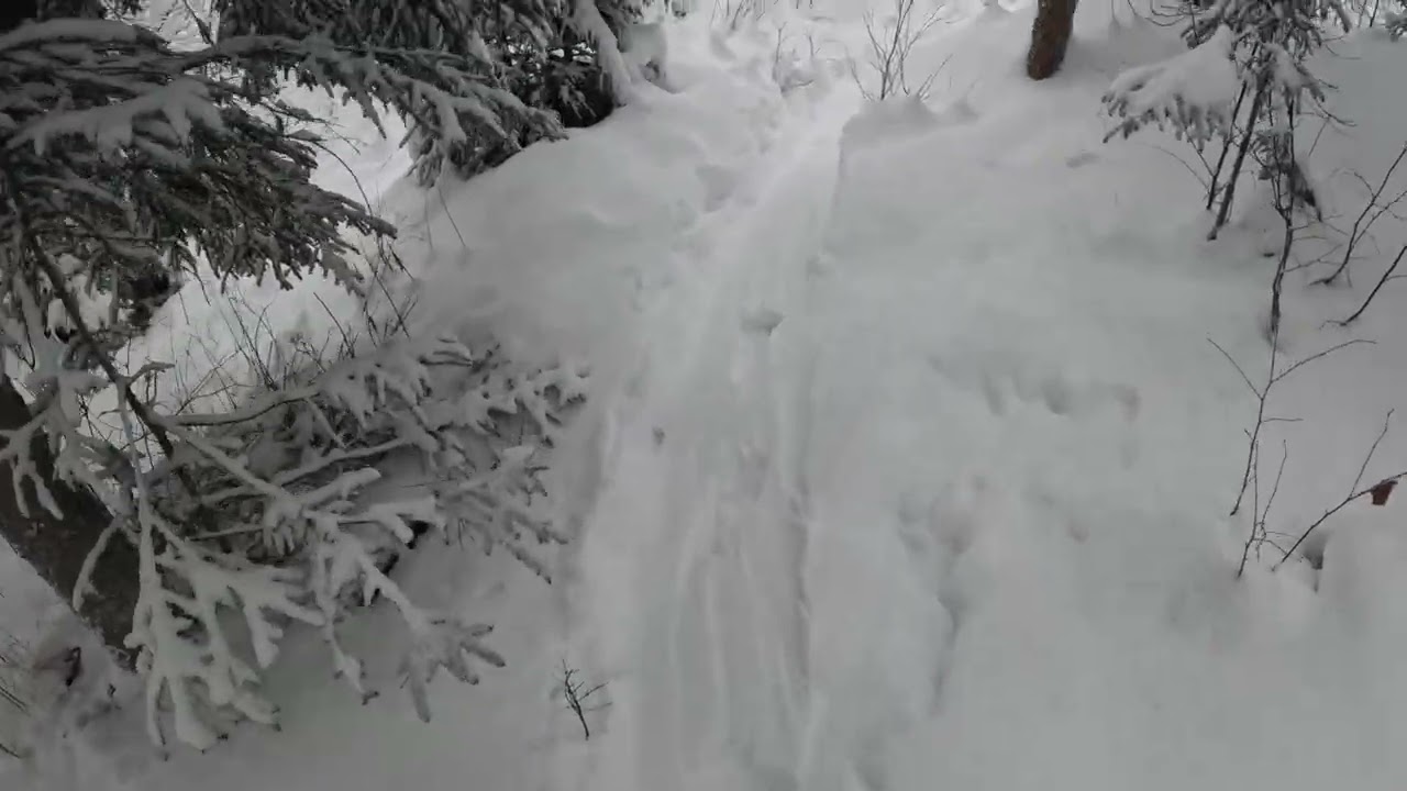 Last video of this walk and digging out. 